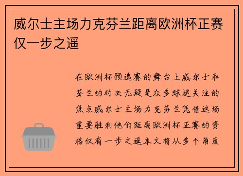 威尔士主场力克芬兰距离欧洲杯正赛仅一步之遥